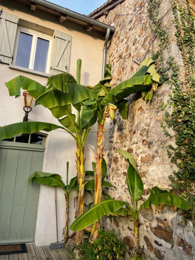 Maison Hirondelles Gites Mezieres-sur-Issoire Exterior photo